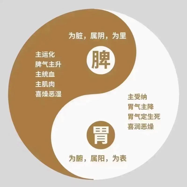 脾胃越寒, 越容易上火, 中医: 教你散寒、清热, 从此远离上火!