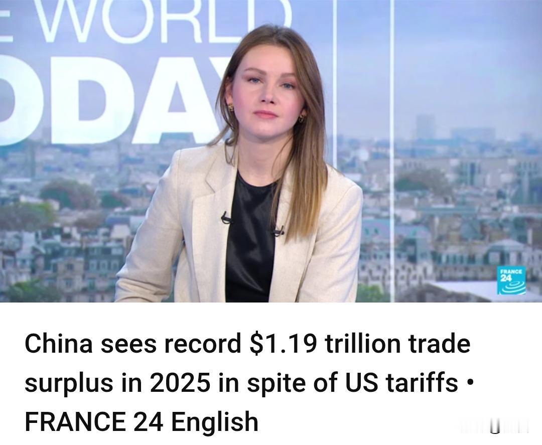 数据发布!去年，我国的贸易顺差达到了1.19万美元，同比增长20%，除了对美出口