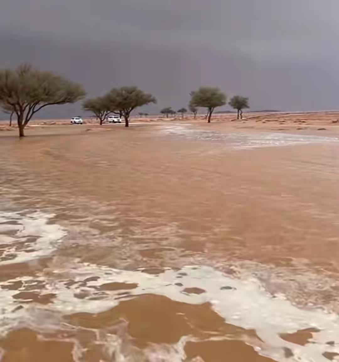 地球真的生病了？塔克拉玛干沙漠迎来暴雨，中国最干的地方发洪水​“晒到裂纹”的沙