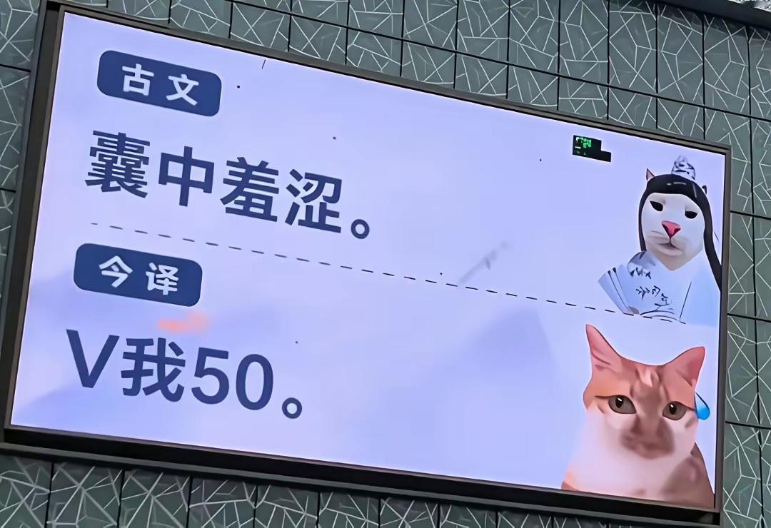 好家伙，这样翻译没问题[捂脸哭]