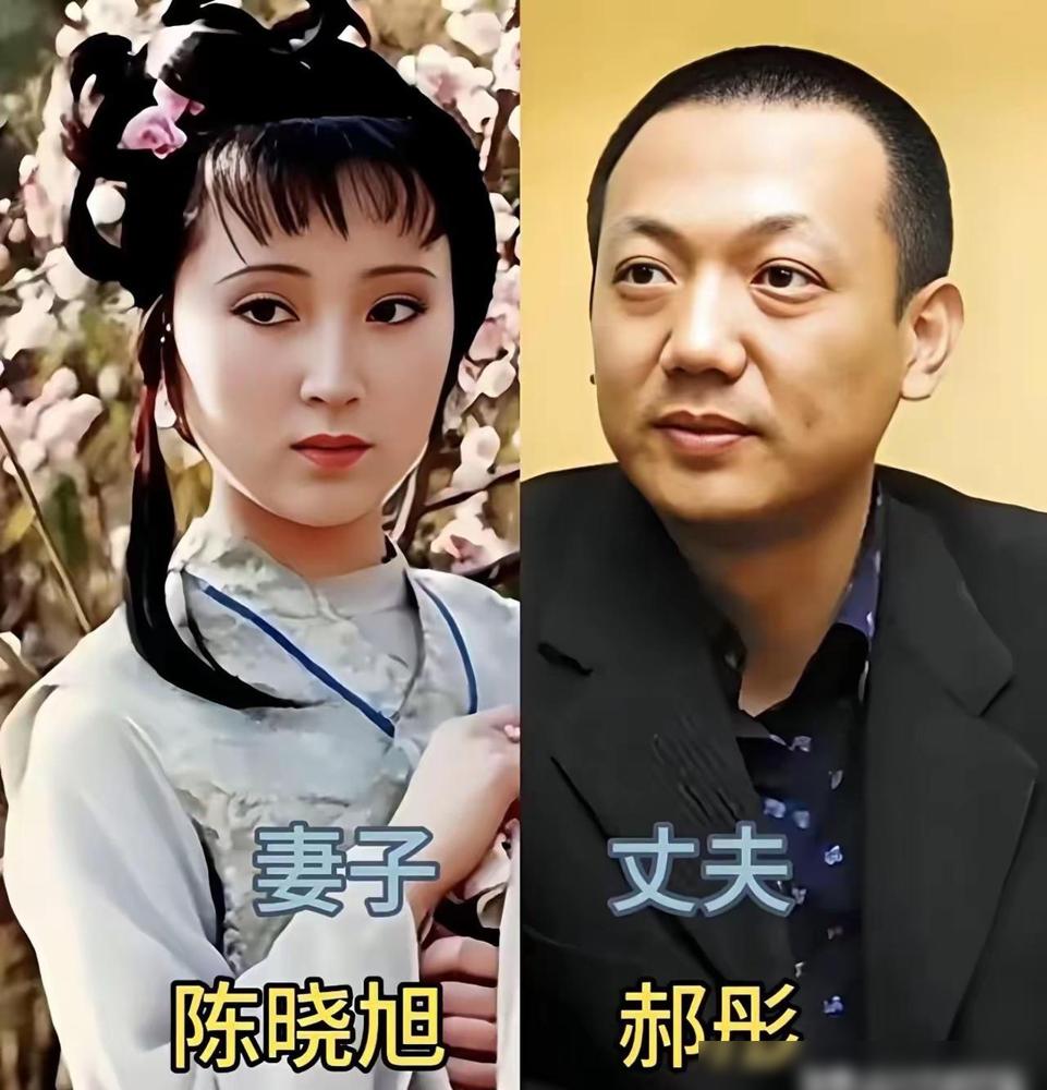 荧幕上葬花，现实中离婚。陈晓旭的两任丈夫，一个陪她成名，一个送她出家。最近看