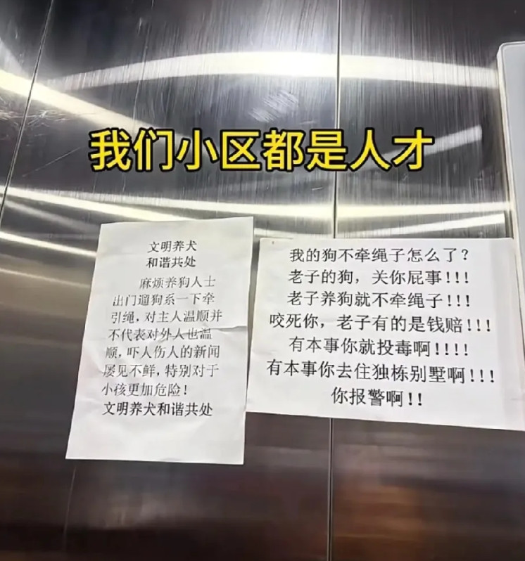 一个人写的，字体都一样