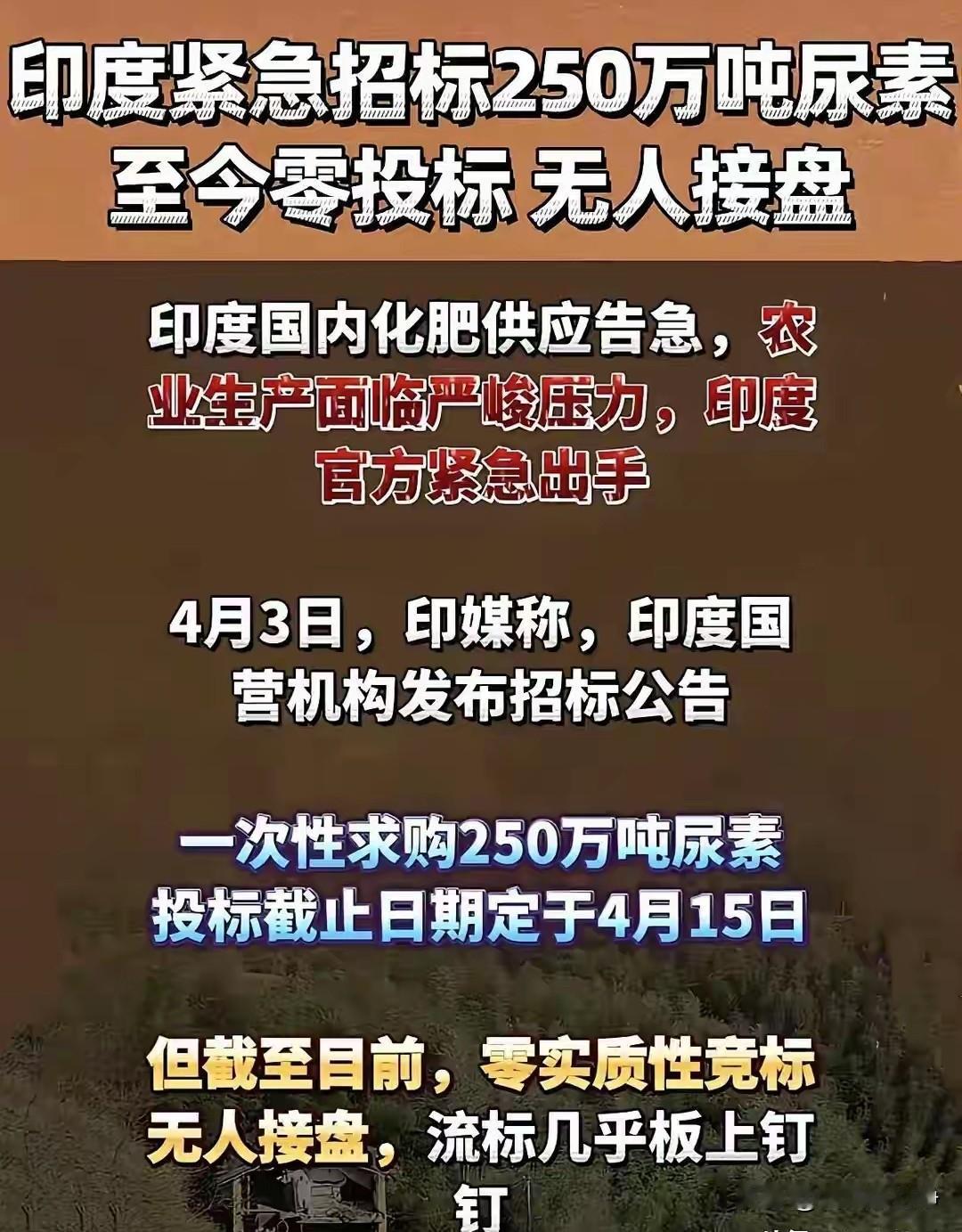 印度缺尿素这件事儿，根本不是咱们不想帮，而是莫迪他们那群人玩的太离谱了明明是全