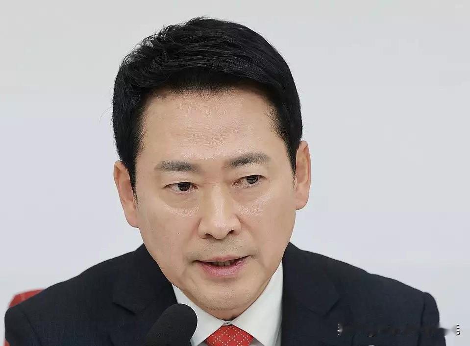 2月17日，韩国最大在野党国民力量党党首张东赫猛烈抨击总统李在明将多套房持有者一