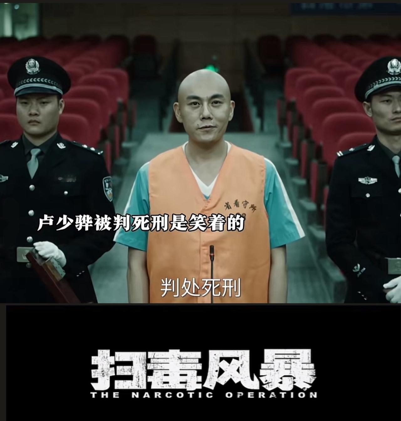 刚刚看完由秦昊、段奕宏主演的热播剧《扫毒风暴》第三十三集大结局，此剧没有烂尾，在
