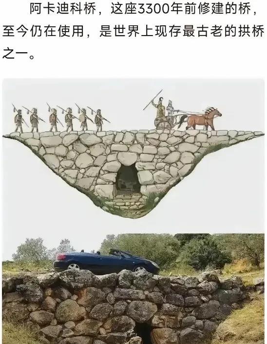 这造桥技术你怎么评？