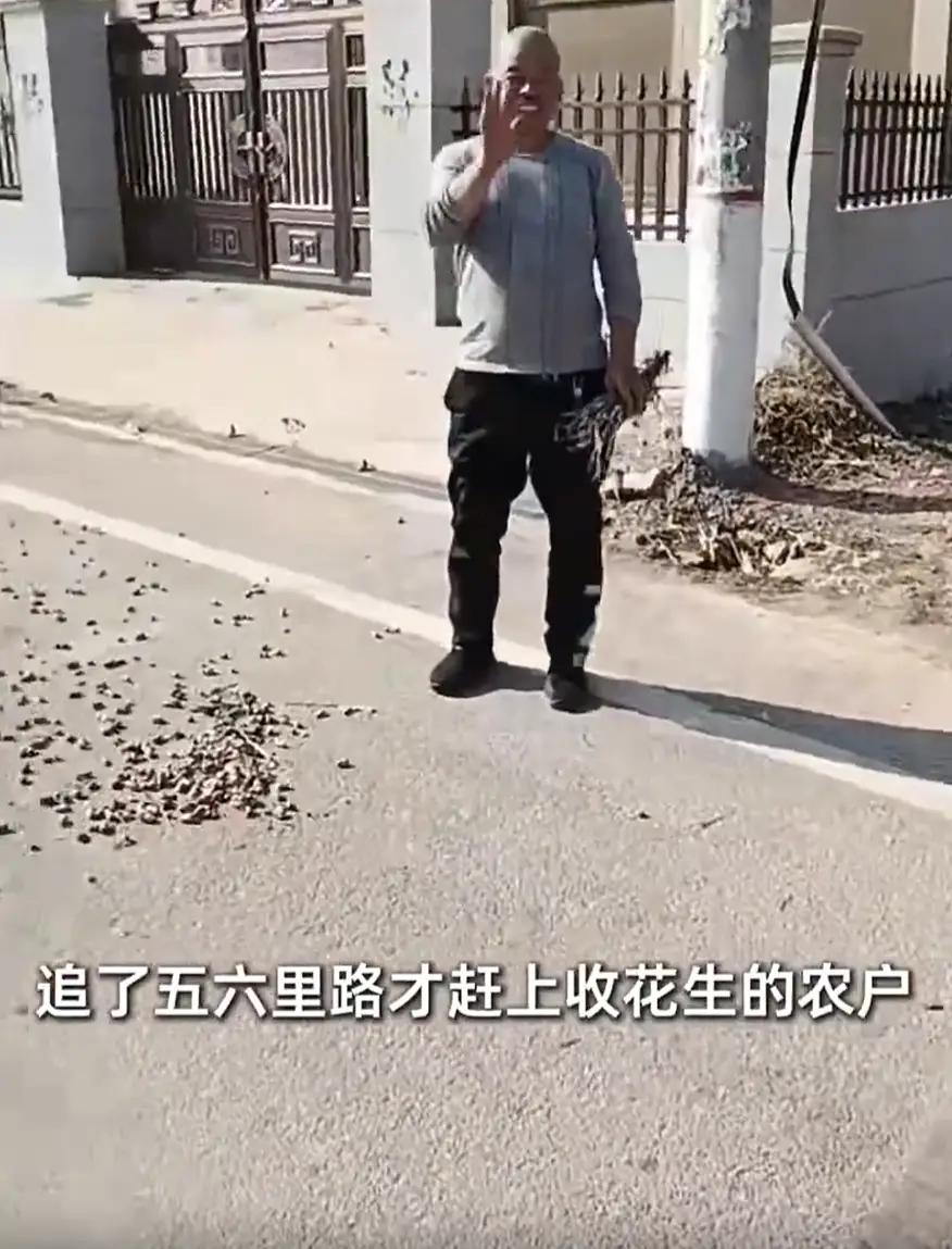 河南周口，女子在院里干活时，突然看到有四袋花生从车上掉落，因为怕被别人捡走，她让