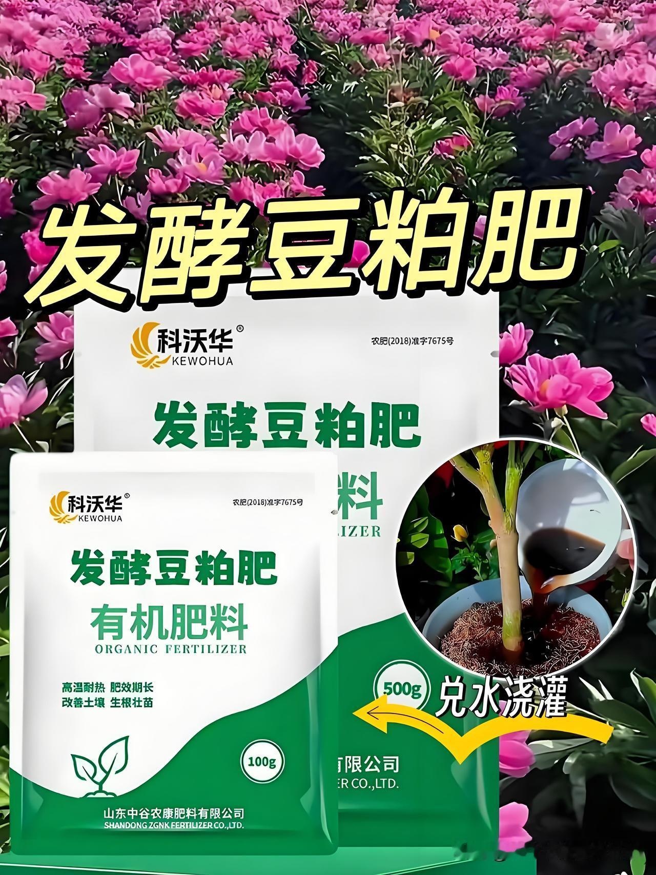 只有这样种植才是真正的纯绿色西红柿种西红柿想吃出小时候原汁原味，还得靠有机