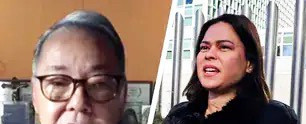 前副部长：莎拉弹劾到新国会应重来---