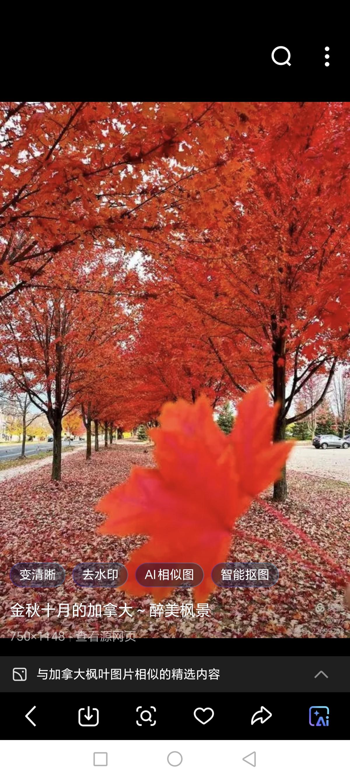 其实，当初我和老伴果断的决定不和儿子儿媳妇在一起生活时，真没想到，另一个原因也很