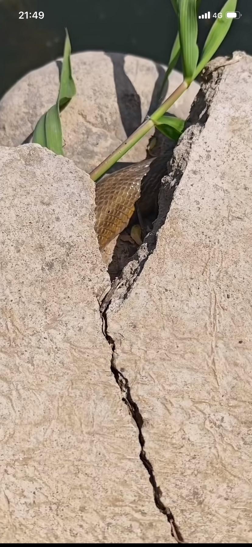 好不容易今天不上班早早就起来了来到了经常爆护的位置钓鱼结果，看到了这一幕