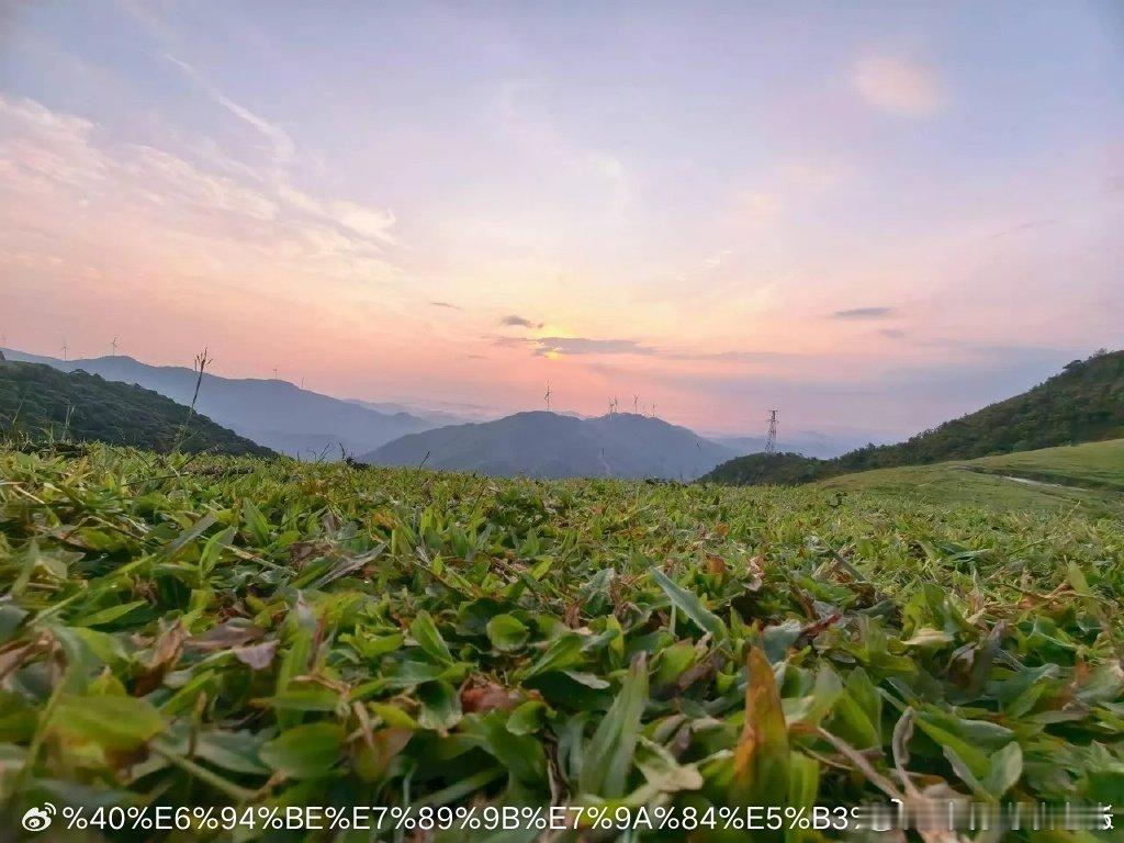 未来科技领域具备潜力的四个大发展方向:1、固态电池。新能源汽车、储能、机器人、无