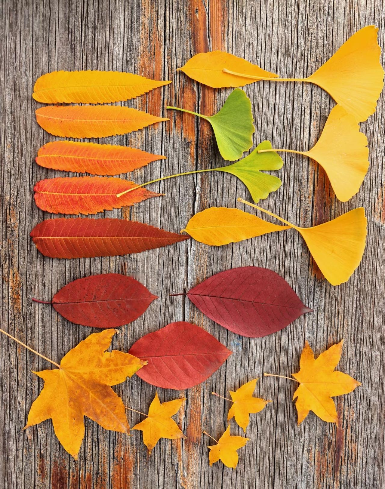 2014年前退休的注意了！为啥别人能领的补贴你却领不到？别再瞎跑瞎问了，这3个关