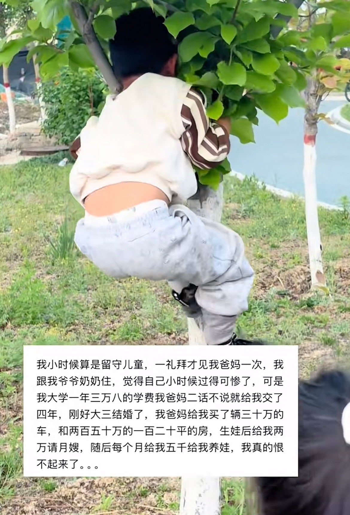 这叫《小时候跟着祖父母在老宅住》只能说明你父母是真出去挣钱了​​​