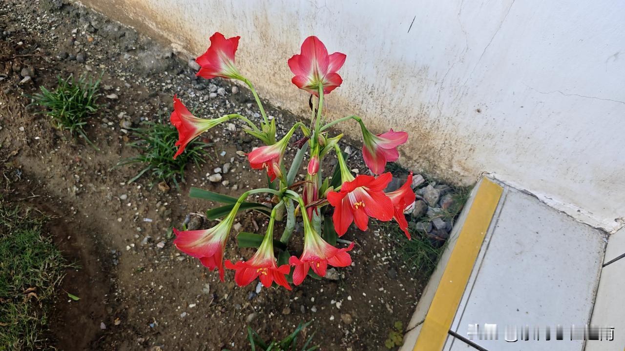 在越南找女朋友，真的要擦亮自己的眼睛。事情是这样，晚上在微信群里，看到很多同胞