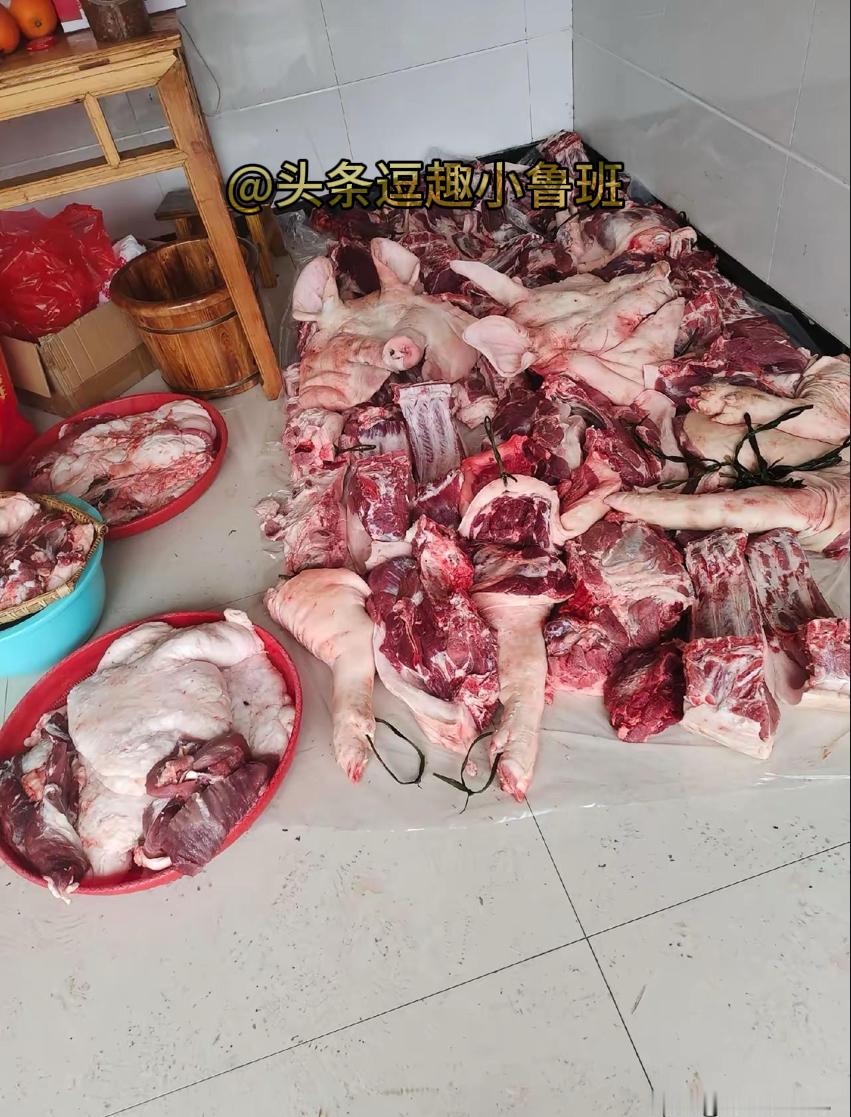 为什么今年的猪肉价格一直都这么便宜？