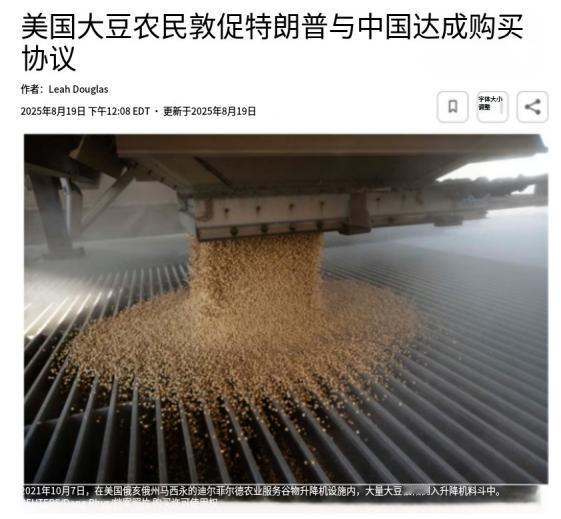 美国记者为证明特朗普政策不对，找到一个种大豆的，让他谈下关税政策给自己造成的损失