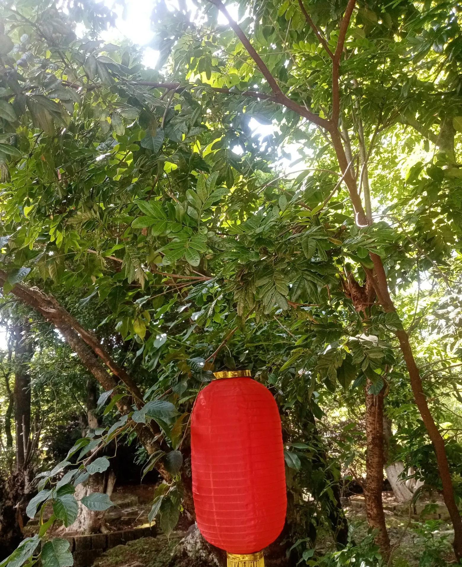 我的婆婆二十年前参加婚礼后回家看电视，半夜突然肚子疼，疼得在床上打滚！那是一