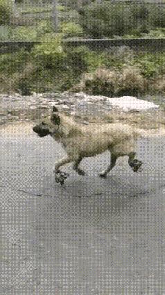 我想知道在踩一个你咋回家？