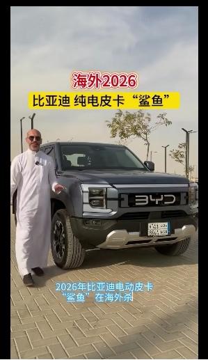 当国内还在玩BYD谐音梗时，国外客户觉得BYD字母标再大点就好了。比亚迪鲨鱼皮