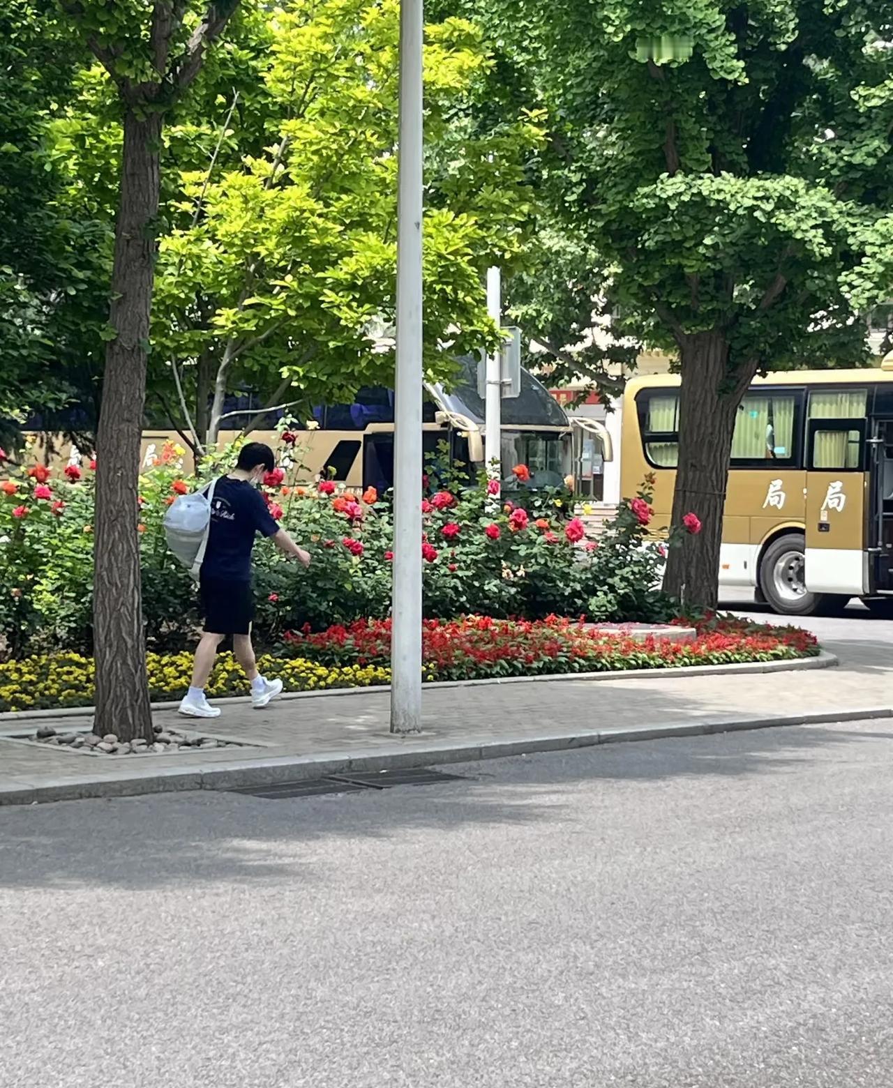 孙颖莎训练，王艺迪西藏旅游，张本美和看演唱会。真的佩服孙颖莎，其他人都在放假放