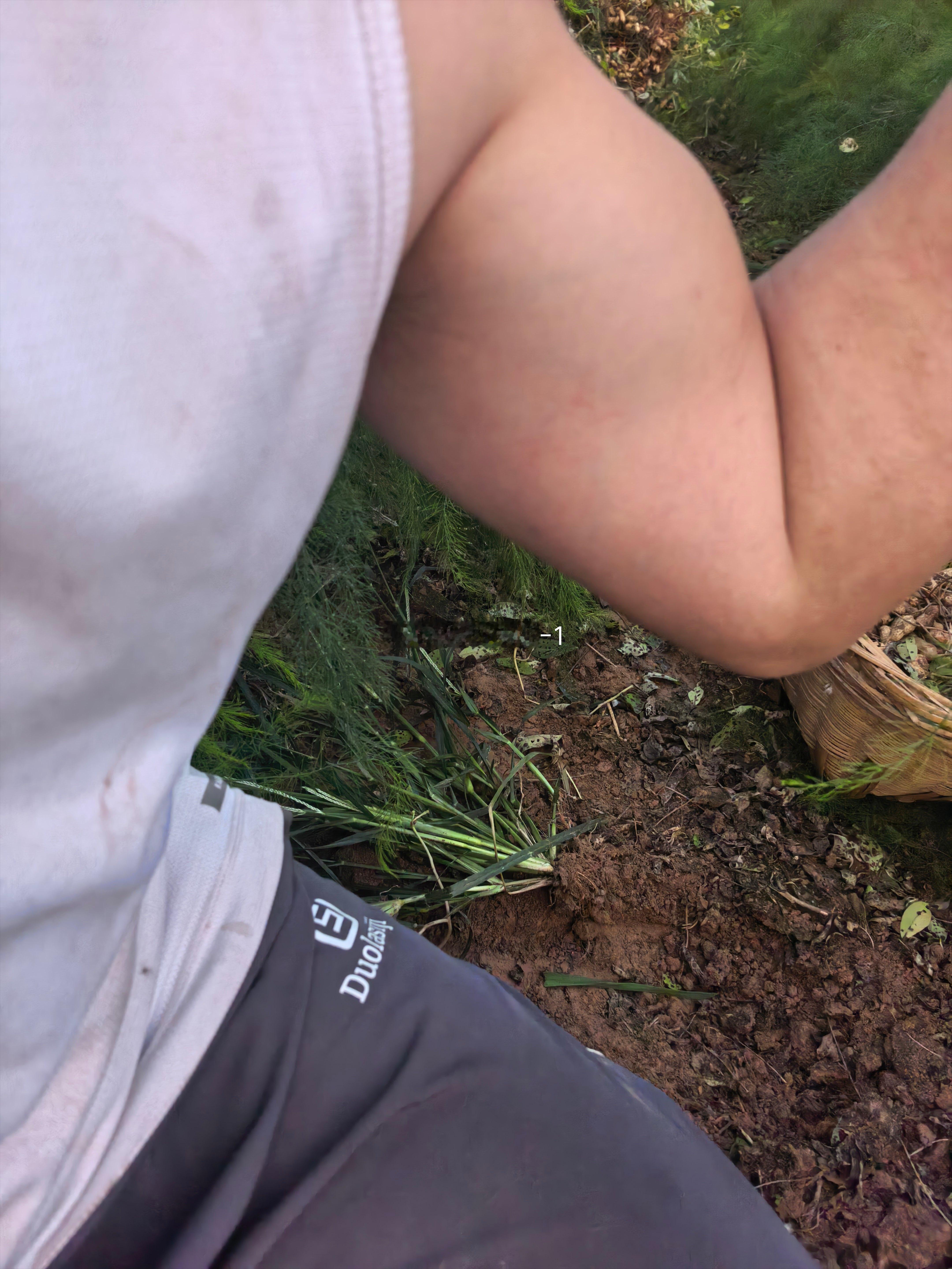 吃一口肌肉💪？​​​
