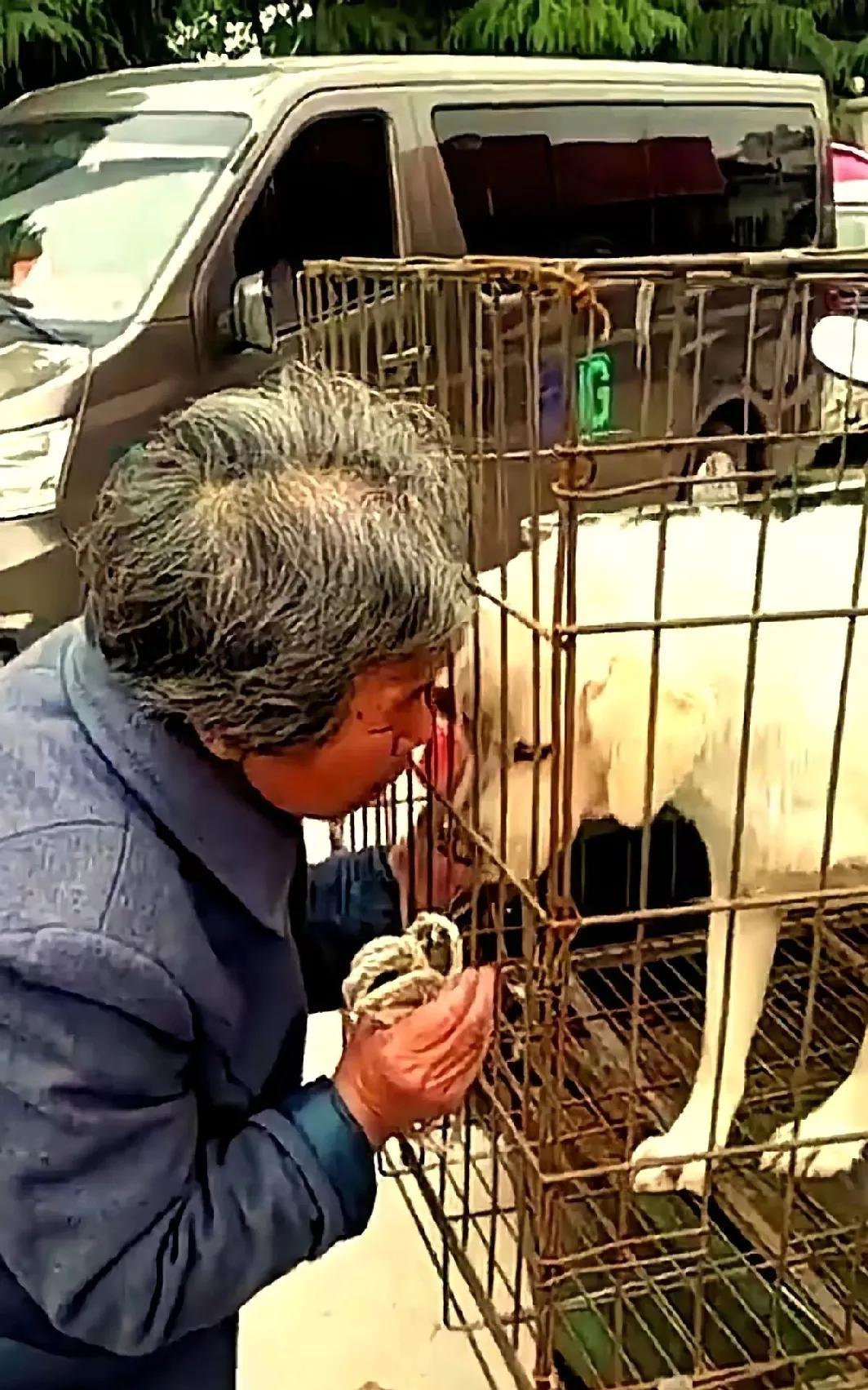 孤寡老奶奶养了七八年的大白狗，几天前突然不见了。她四处找了几天也没有看到，就在她