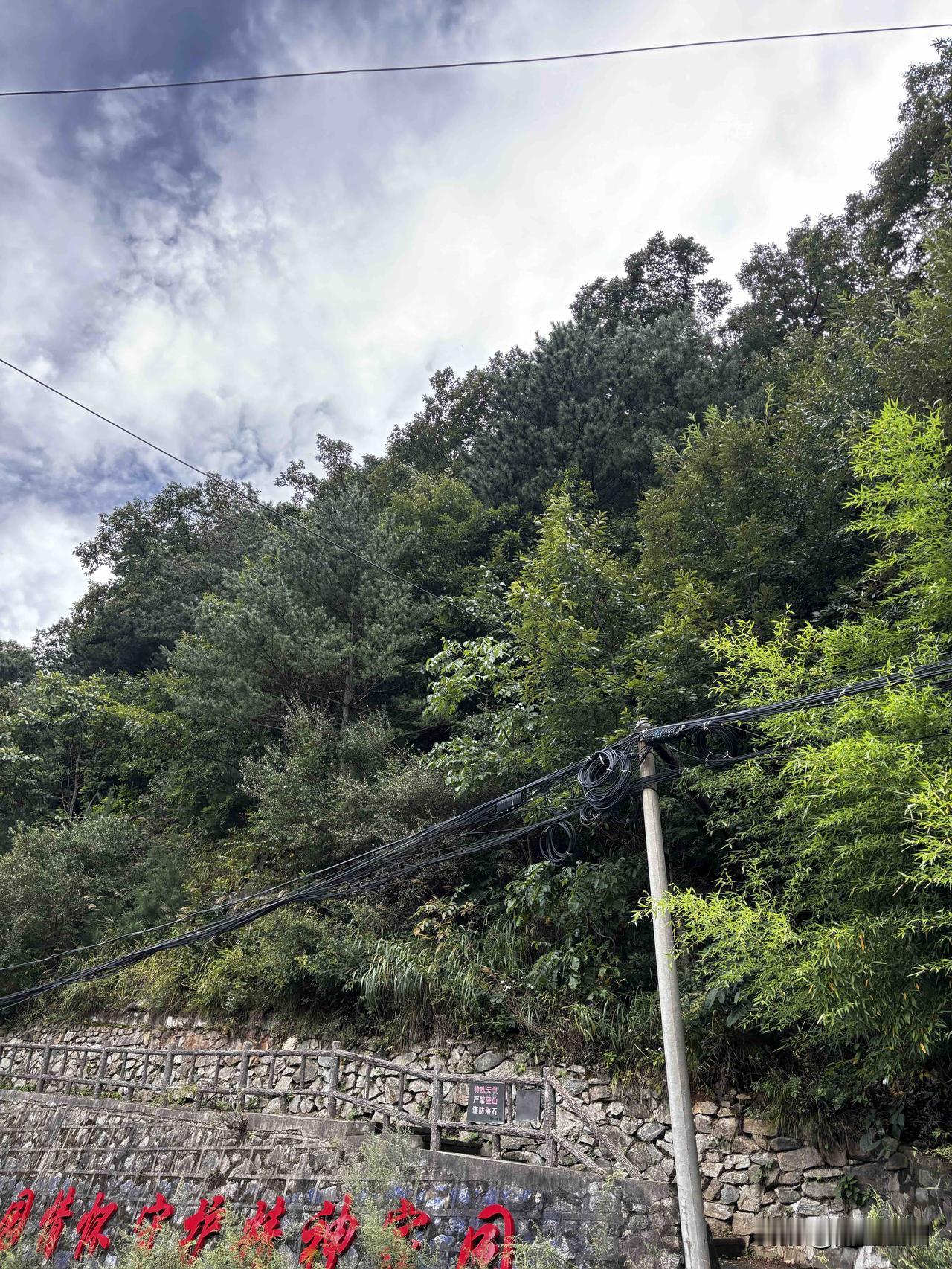 蓝田葛牌古镇街道旁这里，看到写的文公岭景区，有小路，这里可以登到文公岭景区山顶吗