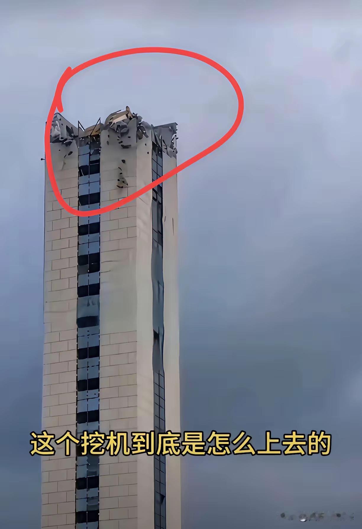 我就纳闷了，这么大一个家伙，它是怎么上去的。