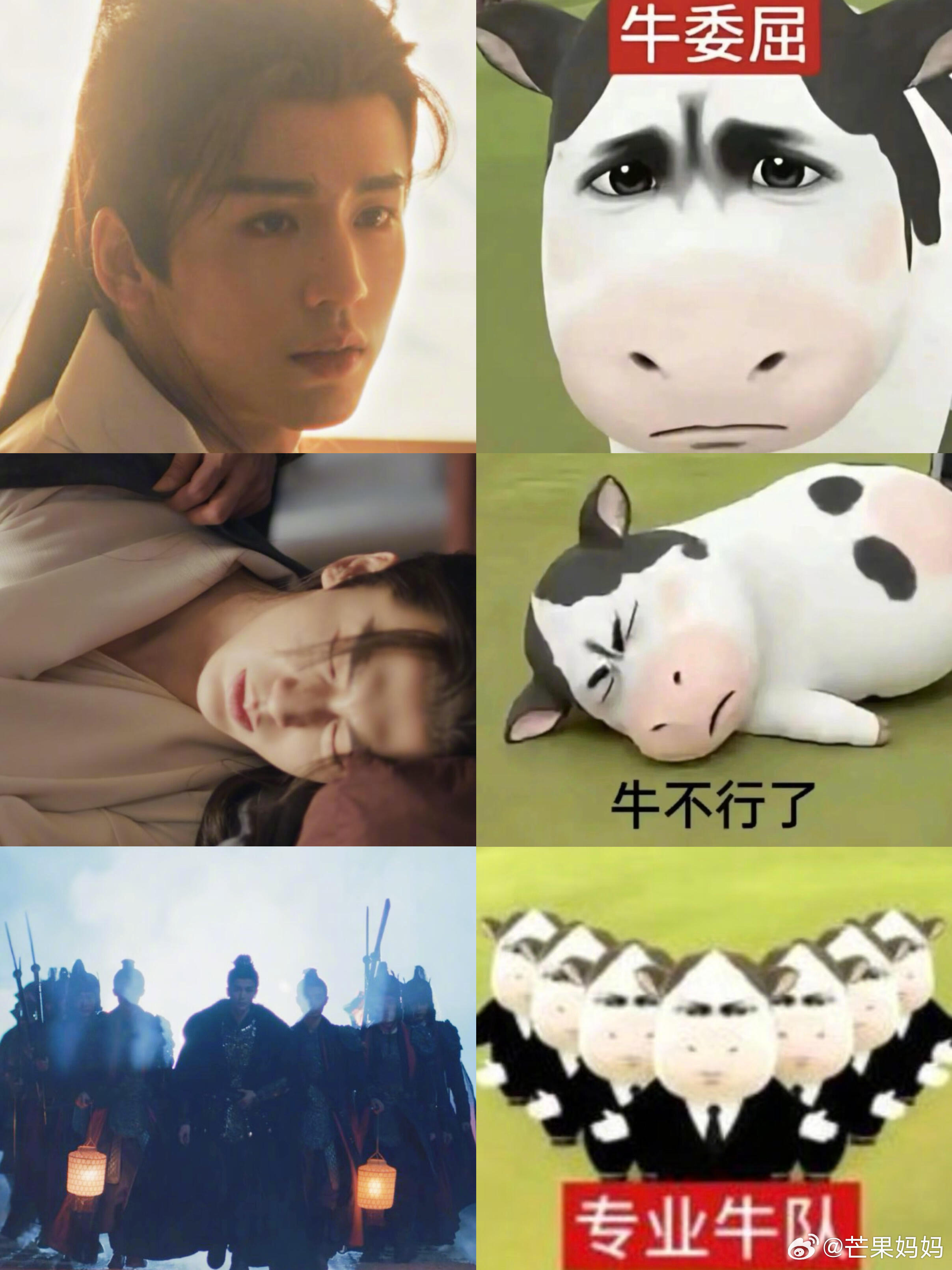 这个逐玉表情包怎么这么好笑啊哈哈哈哈哈