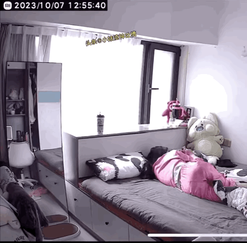 此女子身手敏捷，一个劈叉救了一条猫命猫咪救险猫咪救孩子高架桥墩救猫猫咪救孩
