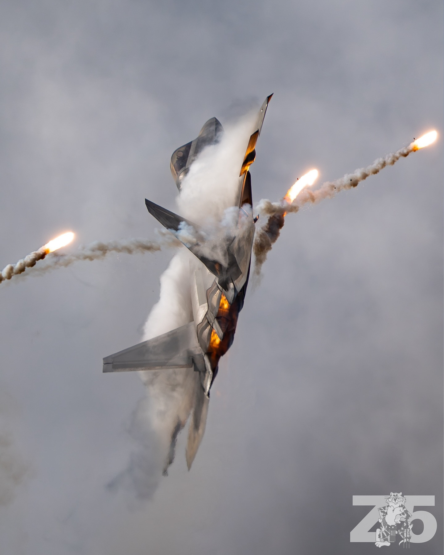 奥申纳航空节上的F-22表演