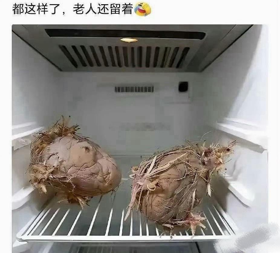 老一辈就是节约，殊不知电费都比他们贵