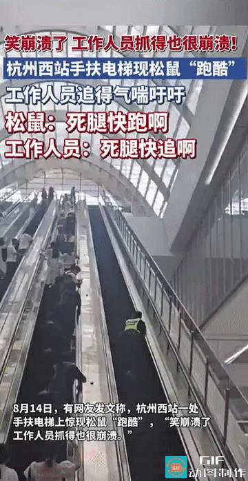 “笑崩溃了!”网友在杭州西站时，意外看见了一场别开生面的“跑酷大赛”，主角竟是一