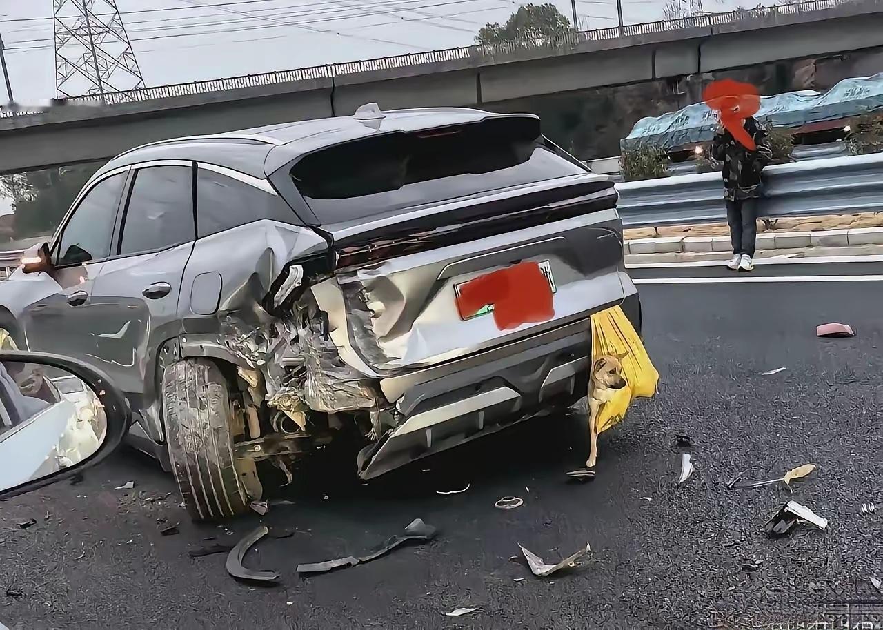 高速车祸，狗生太刺激了。应该是后车是看躲闪不及，方向盘往左打了一下