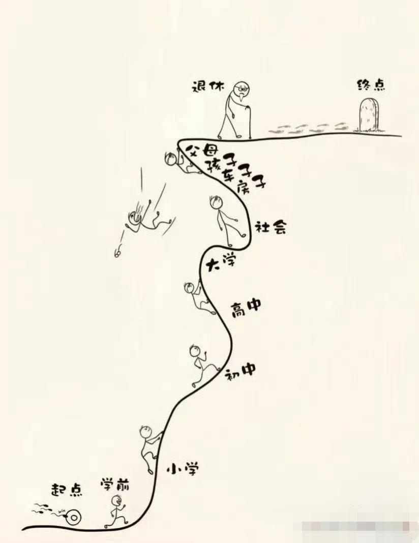 这大抵就是普通人的一生。当然，也正常。