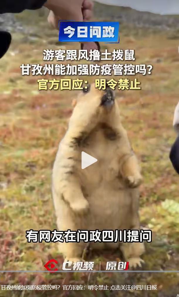 暑期川西自驾游热度攀升，甘孜州不少野外点位成为游客打卡地，部分游客效仿网络短视频