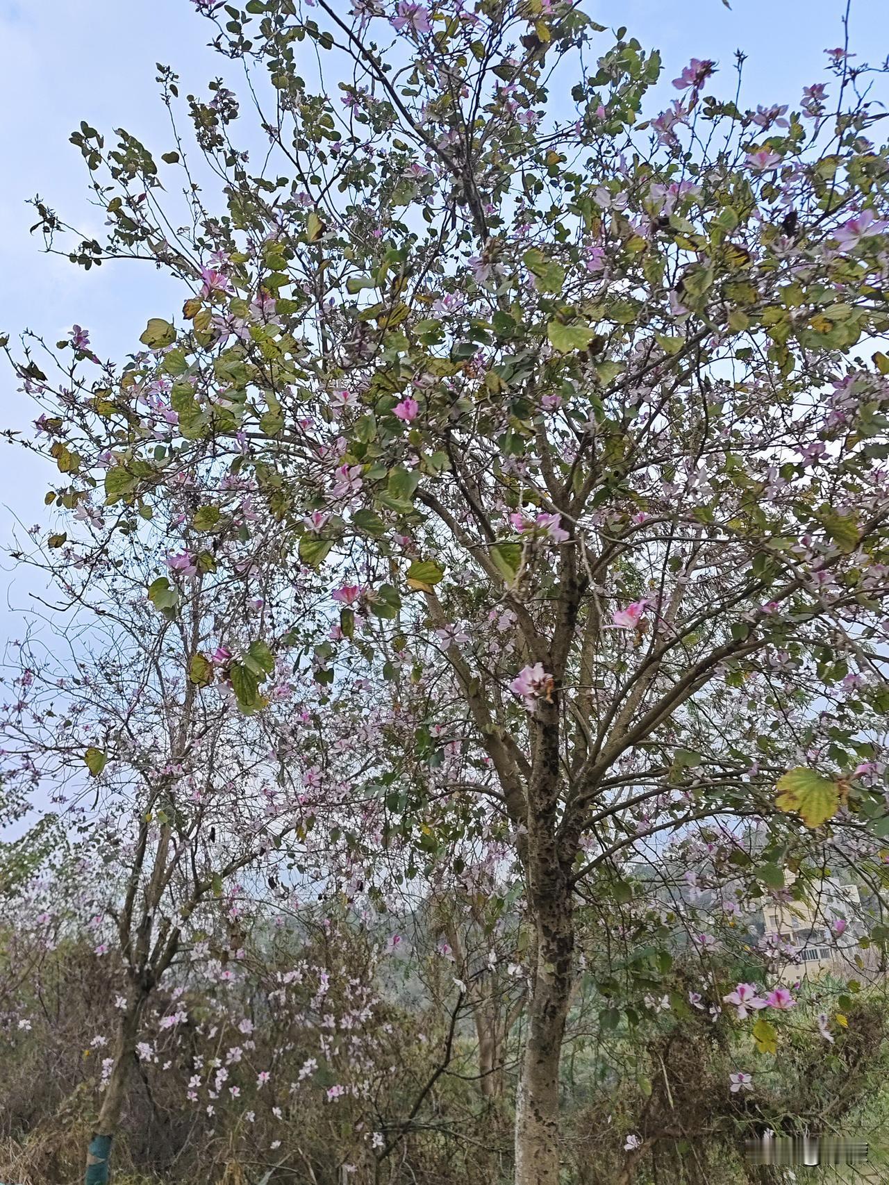 今天我爸给我打电话，问我热不热。我说不热，开着空调呢。话音刚落，电话那头我妈