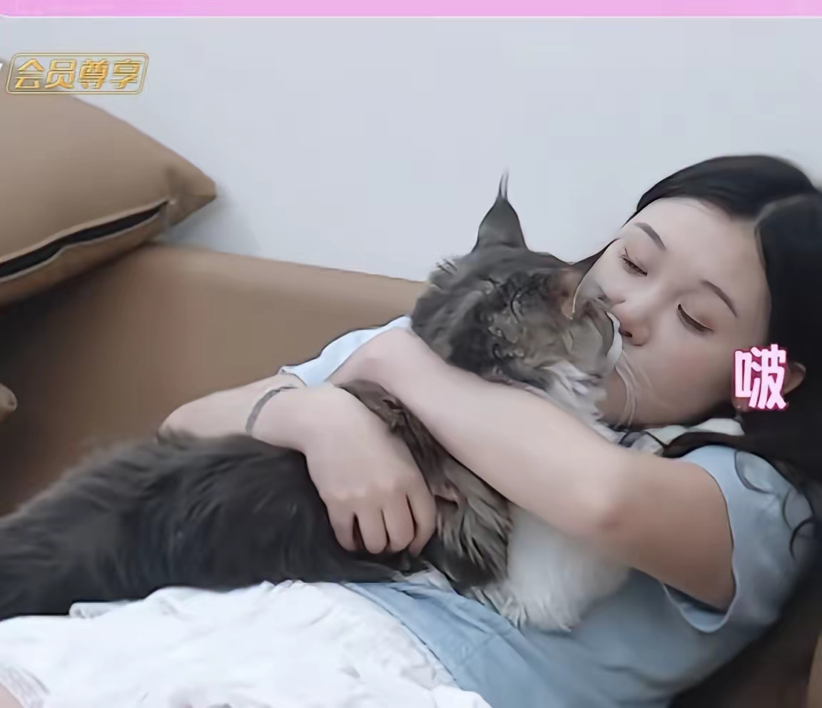 以前张家齐跟全进华直播时，网友们他们造CP，那时觉得全进华配不上张家齐，因为张小姐是北京的人，又是奥