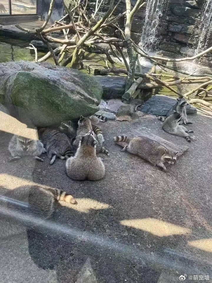 为什么这么肥啊