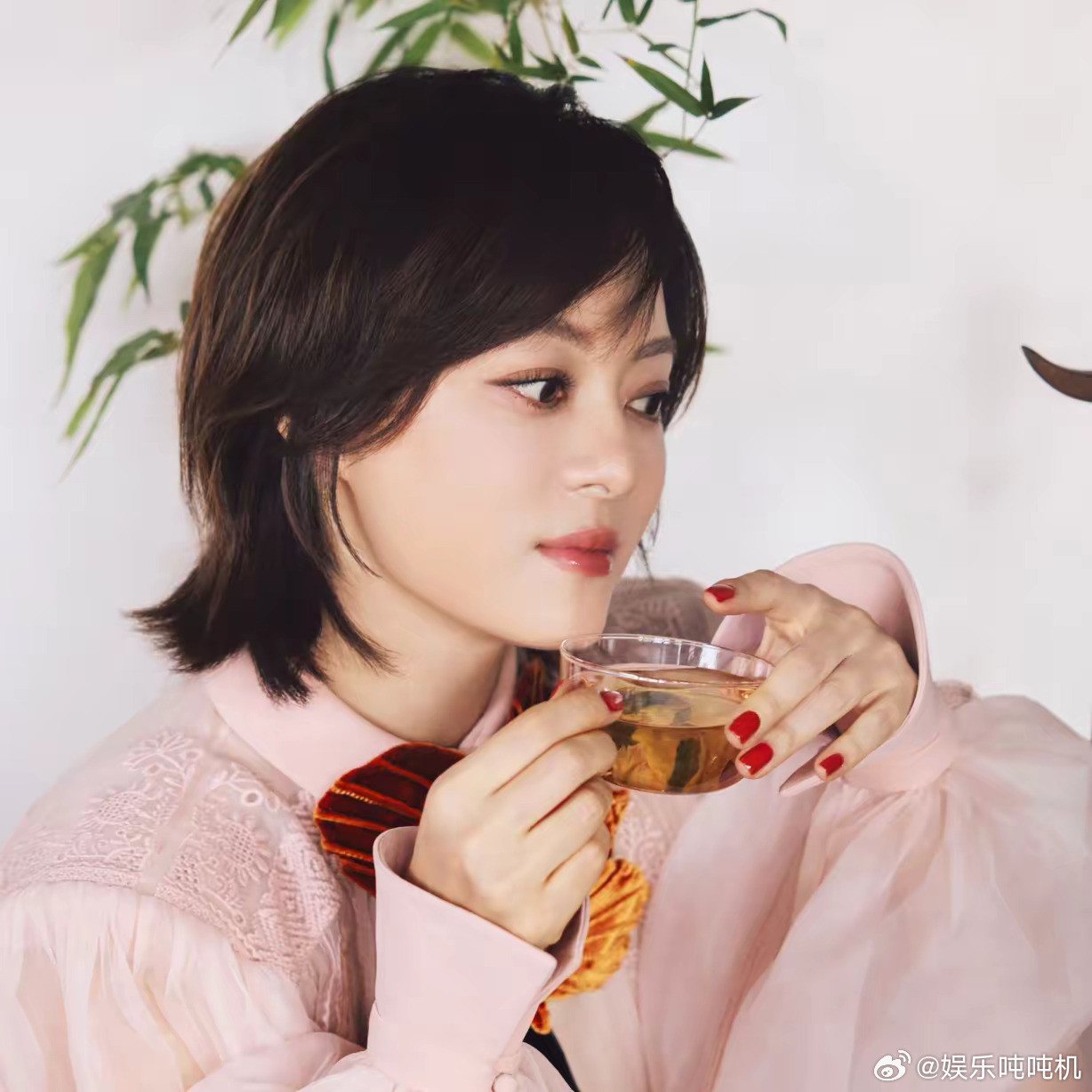 宋佳、马伊琍、闫妮提名金鹰奖我不意外，但俩个拿过总台视后的，居然连个提名都没有，