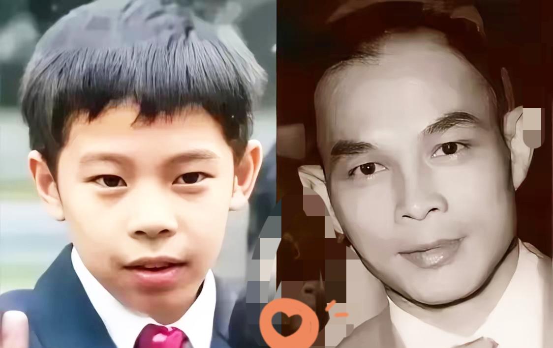 霍家三代同台，一个细节让全场瞬间安静。霍中曦站在粤港澳大湾区的发言台上，眼神像