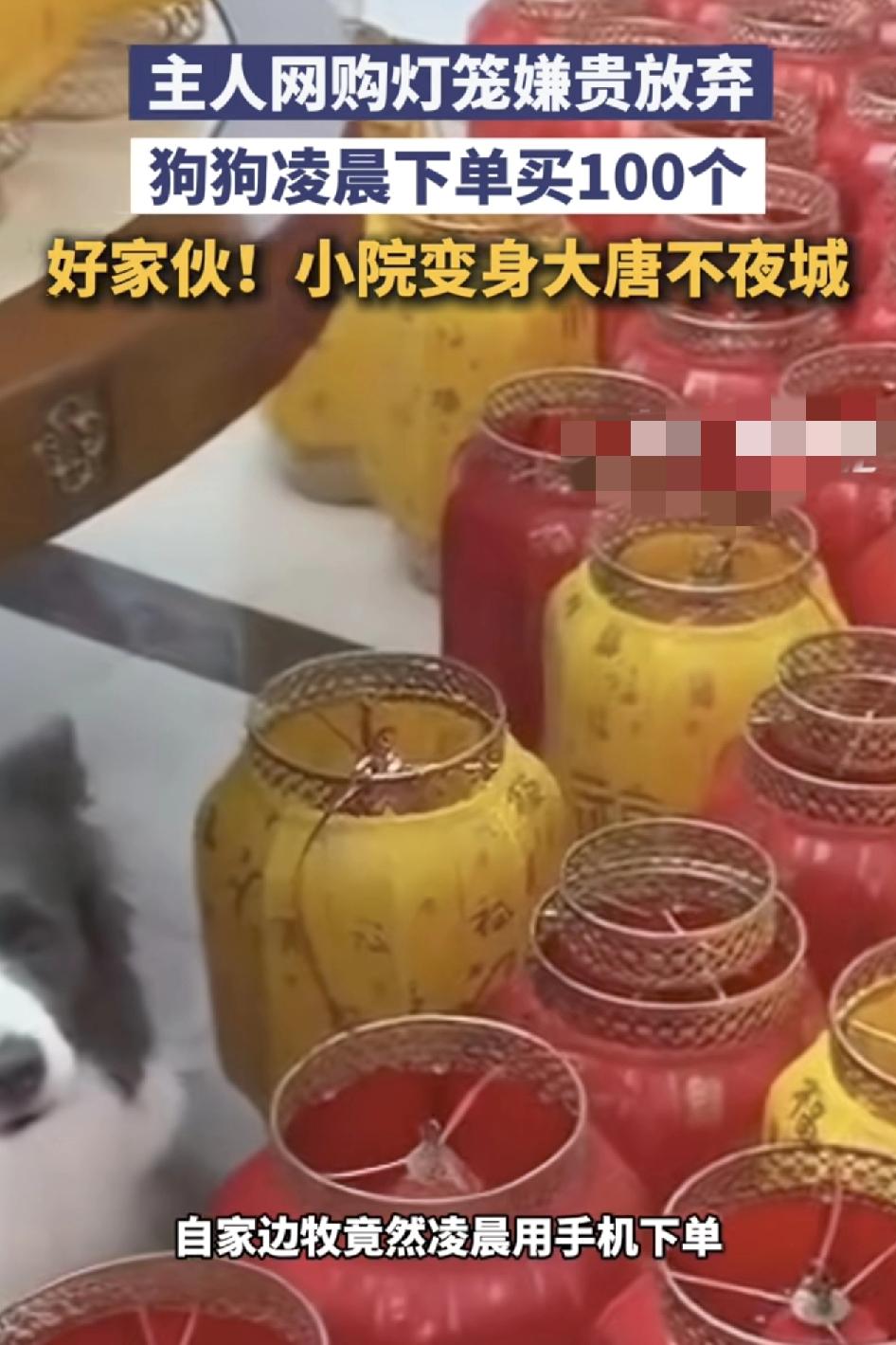 网友分享视频称在网上购买灯笼时，因为价格不合适，所以没下单，就把手机放在床边睡着