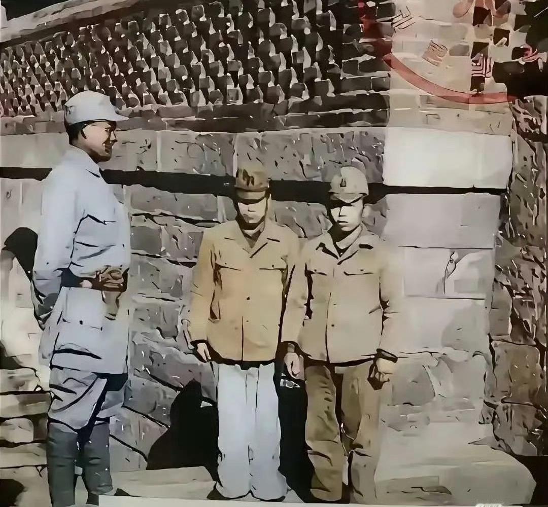 哈哈哈哈哈哈，哎我去，这特么还真是小日本啊！我就不能理解了，这么样的一个民族怎