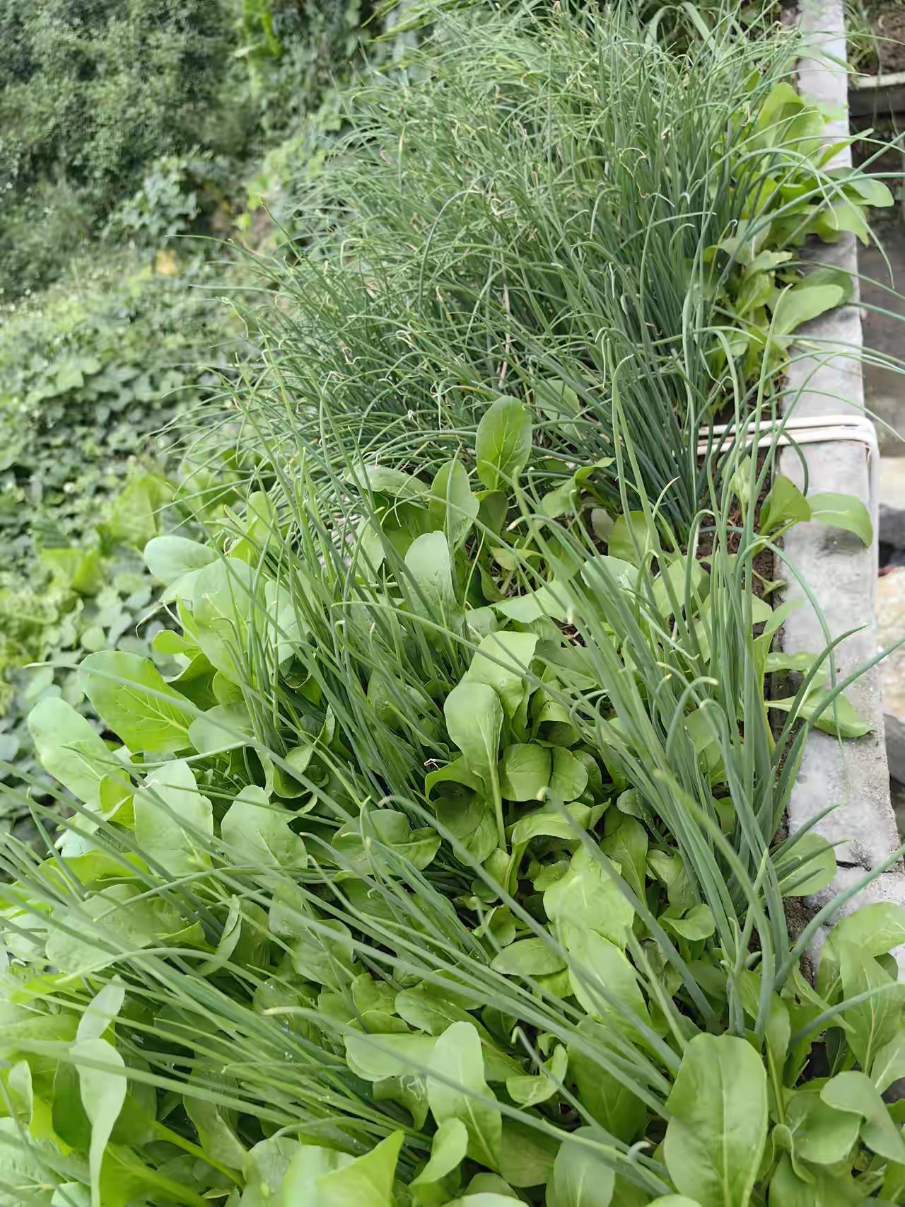 国内最强的211大学排名，北邮在家长和孩子们的心目中依然是第一。有朋友说，在软科