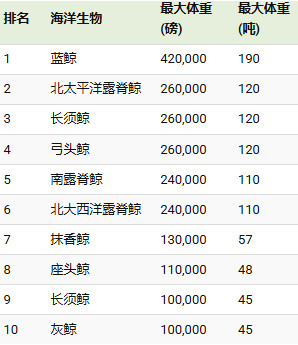 海里最重的动物，是陆地最重动物重量的18倍。其实鲸鱼祖先是陆地上的哺乳动物知道蓝