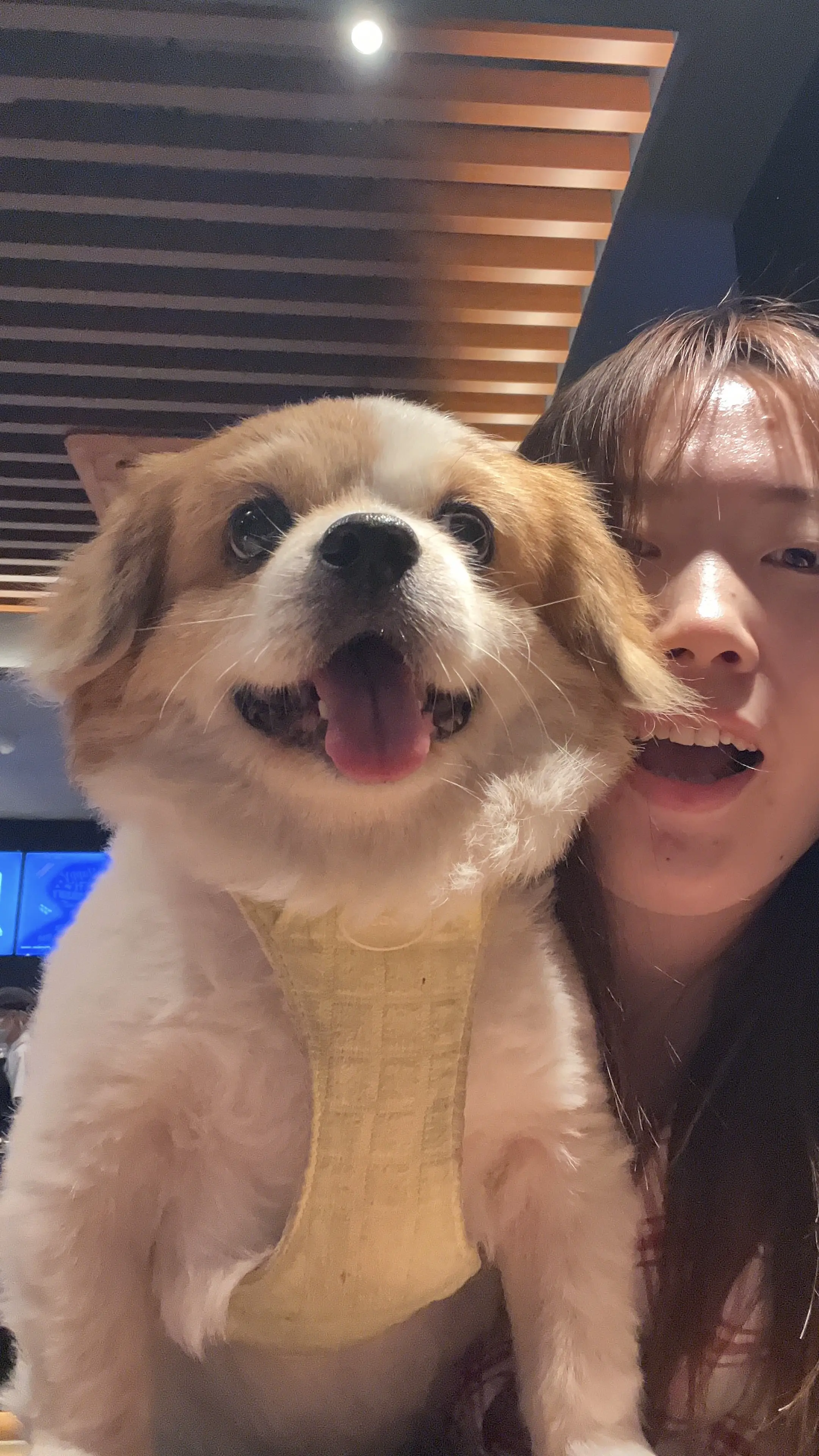 总是说你可爱，其实我可爱你了。