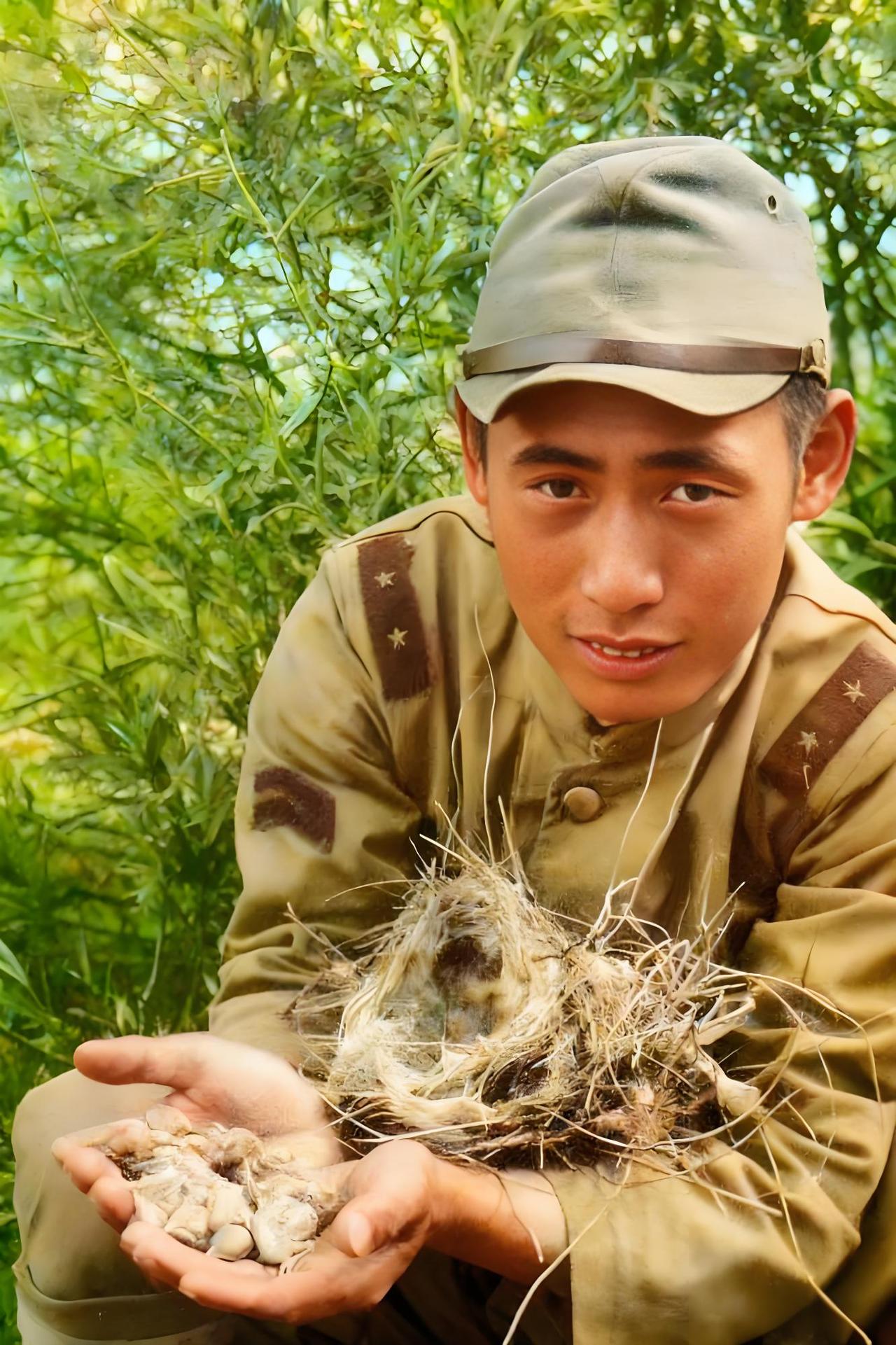 照片中，一名侵华日军士兵，蹲在野外植被旁，双手捧着一个鸟窝，窝内还有几只幼鸟。在