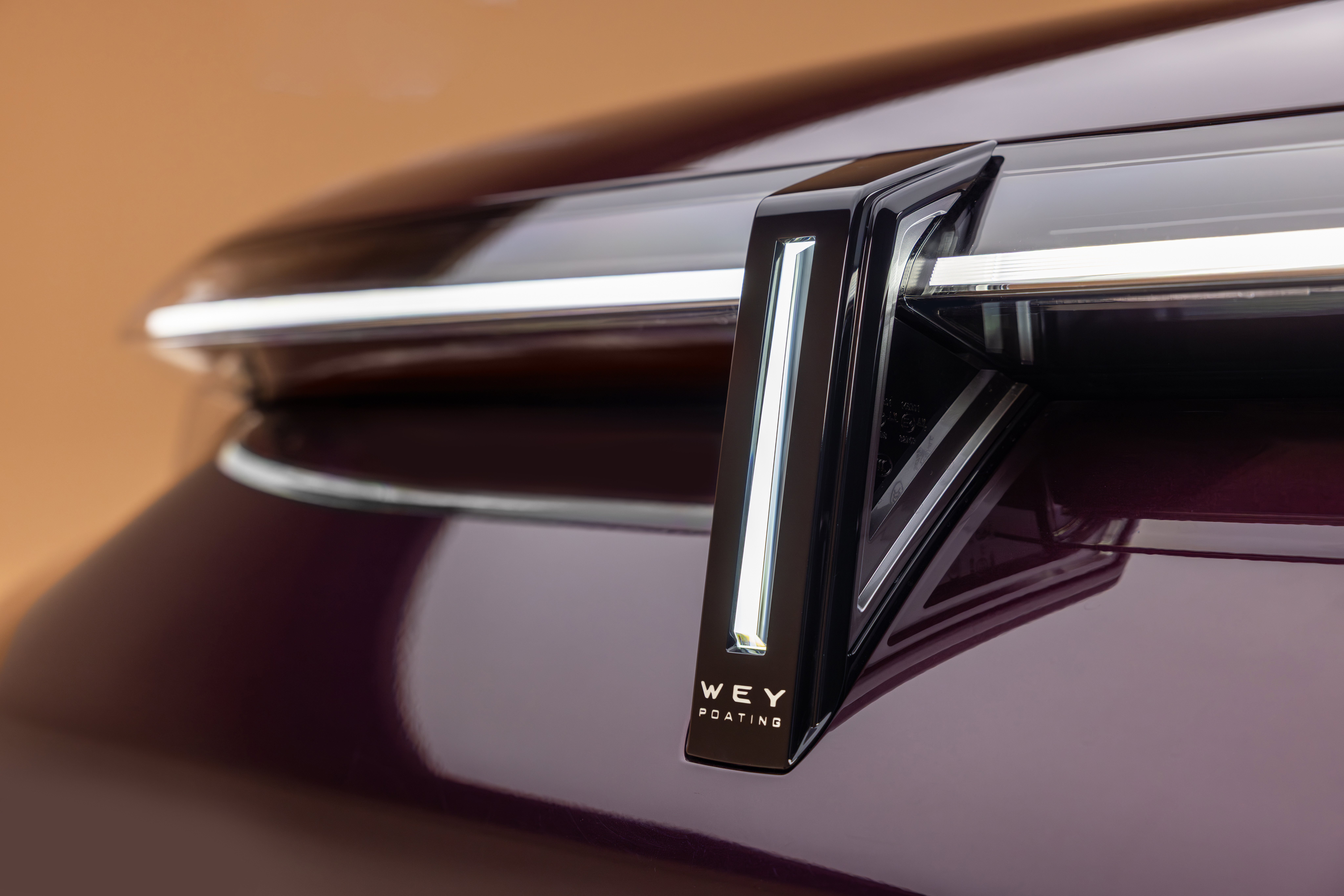 魏总亲自给魏牌V9X站台当代言人这事有点意思直播里聊到保定直隶总督署门口那根大旗