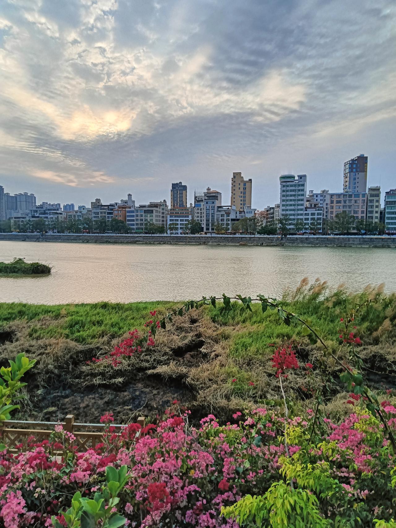 大企业落地茂名，助力茂名经济发展的双引擎动力！近几年（2023–2026）茂名